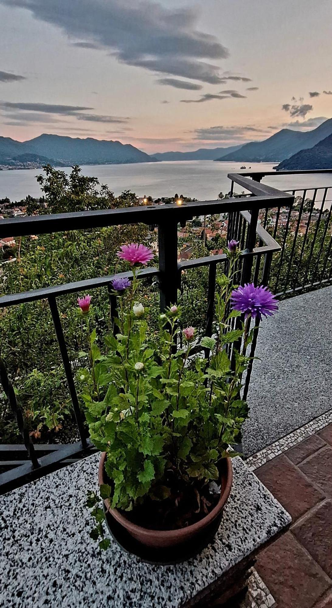 Sole & Lago-Lake Maccagno Extérieur photo